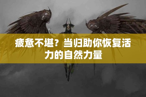 疲惫不堪？当归助你恢复活力的自然力量