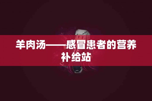 羊肉汤——感冒患者的营养补给站