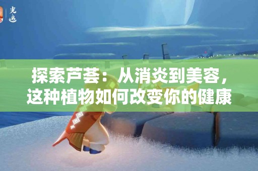 探索芦荟：从消炎到美容，这种植物如何改变你的健康生活