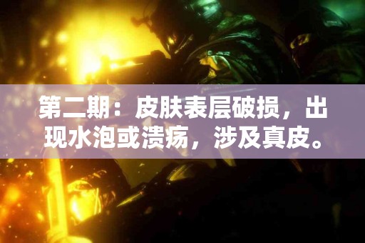 第二期：皮肤表层破损，出现水泡或溃疡，涉及真皮。
