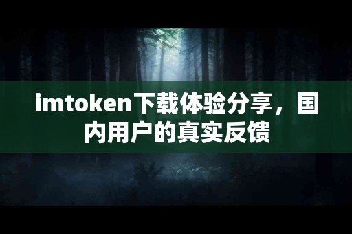 imtoken下载体验分享，国内用户的真实反馈