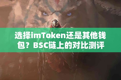 选择imToken还是其他钱包？BSC链上的对比测评