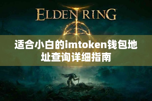 适合小白的imtoken钱包地址查询详细指南