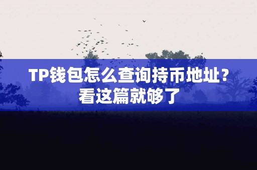 TP钱包怎么查询持币地址？看这篇就够了