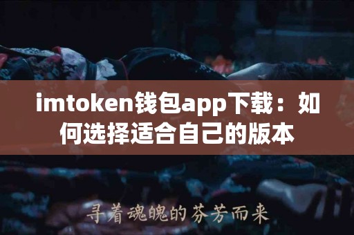 imtoken钱包app下载：如何选择适合自己的版本