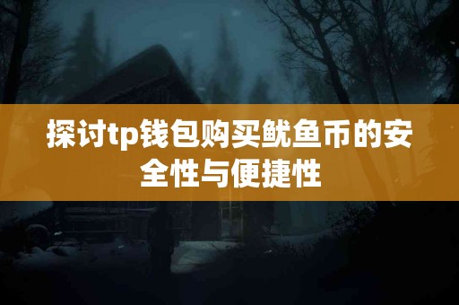 探讨tp钱包购买鱿鱼币的安全性与便捷性