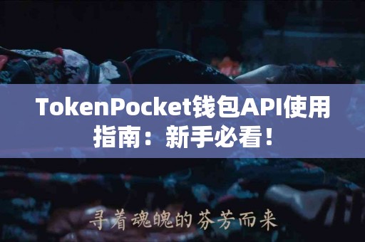 TokenPocket钱包API使用指南：新手必看！
