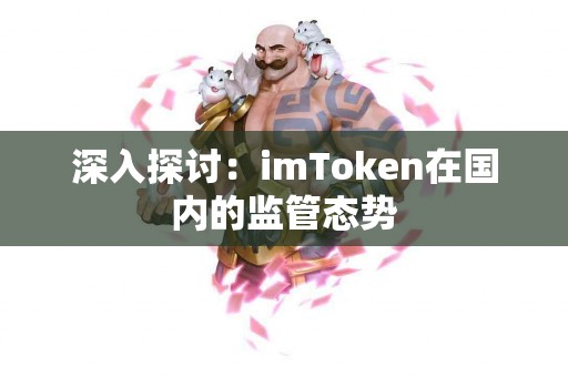 深入探讨：imToken在国内的监管态势