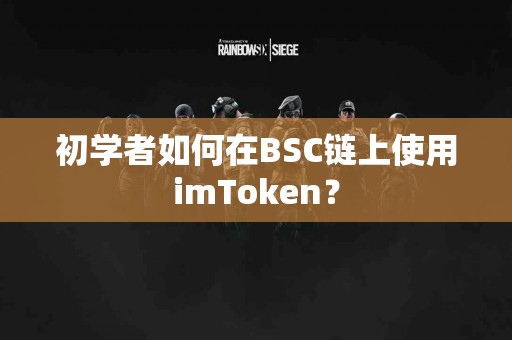 初学者如何在BSC链上使用imToken？