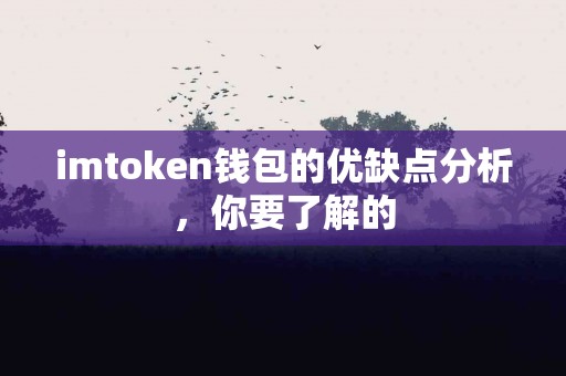 imtoken钱包的优缺点分析，你要了解的