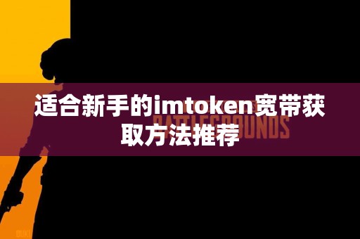 适合新手的imtoken宽带获取方法推荐