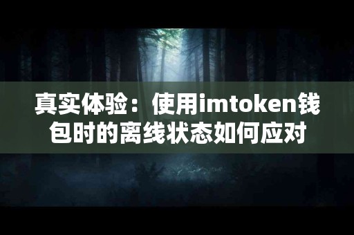 真实体验：使用imtoken钱包时的离线状态如何应对