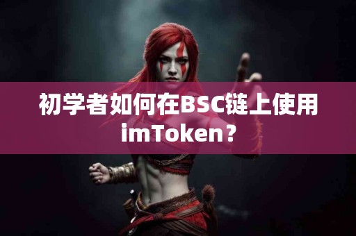初学者如何在BSC链上使用imToken？