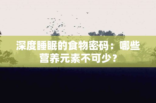 深度睡眠的食物密码：哪些营养元素不可少？
