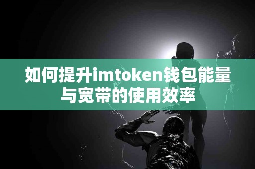 如何提升imtoken钱包能量与宽带的使用效率