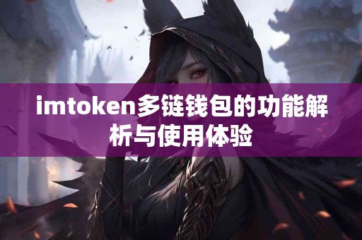 imtoken多链钱包的功能解析与使用体验