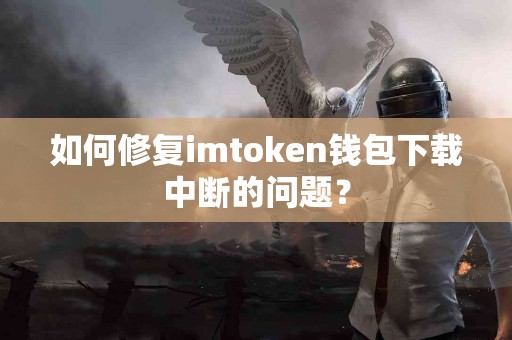 如何修复imtoken钱包下载中断的问题？