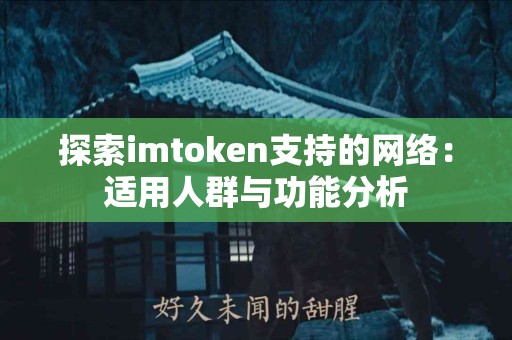 探索imtoken支持的网络：适用人群与功能分析