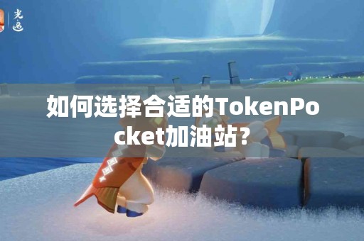 如何选择合适的TokenPocket加油站？