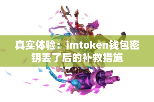 真实体验：imtoken钱包密钥丢了后的补救措施