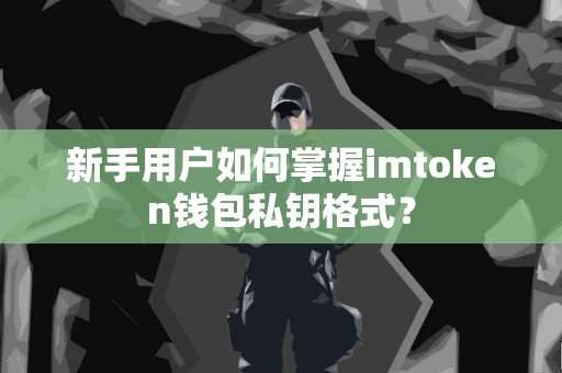 新手用户如何掌握imtoken钱包私钥格式？