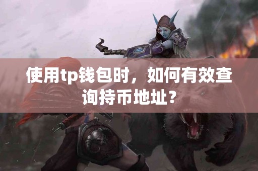 使用tp钱包时，如何有效查询持币地址？