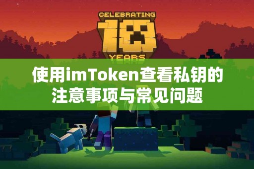 使用imToken查看私钥的注意事项与常见问题