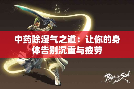 中药除湿气之道：让你的身体告别沉重与疲劳
