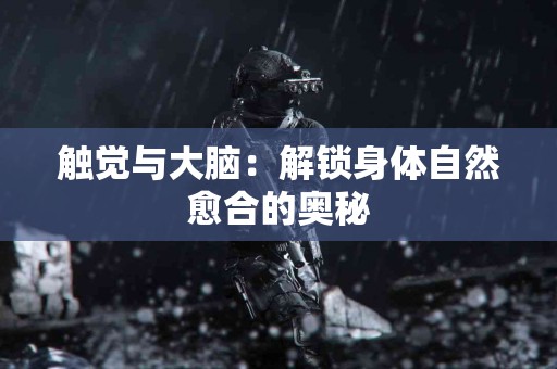 触觉与大脑：解锁身体自然愈合的奥秘